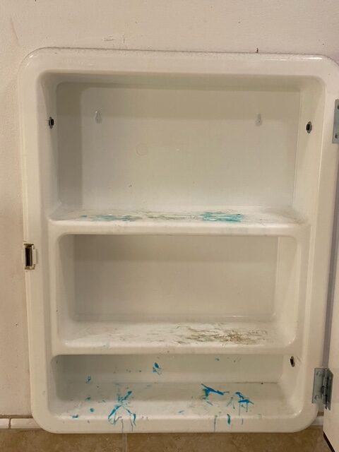 Bathroom Cabinet Cleaning before 1