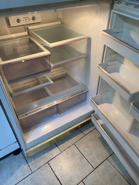 Fridge Cleaning After