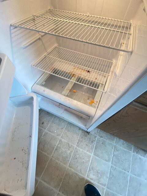 Fridge Cleaning Before